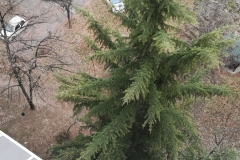 Викенд во паркот