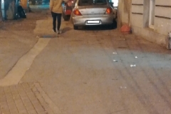 Има место и за пешаците